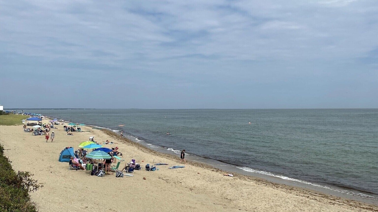 Photo of Others in Mashpee