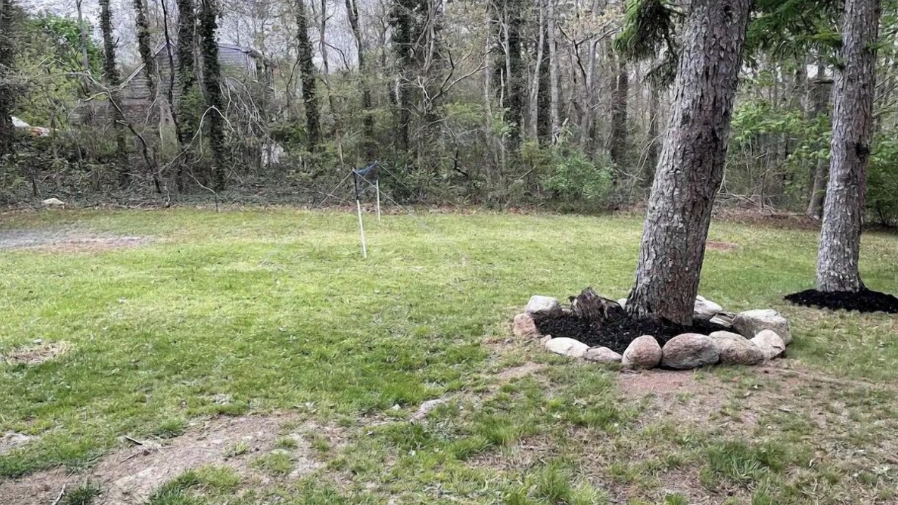 Photo of Outdoor in East Falmouth