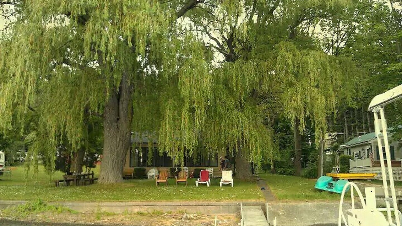 Photo of Outdoor in Honeoye