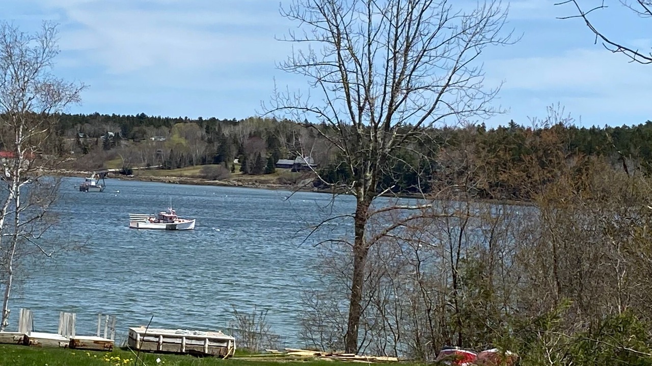 Photo of Others in Sedgwick