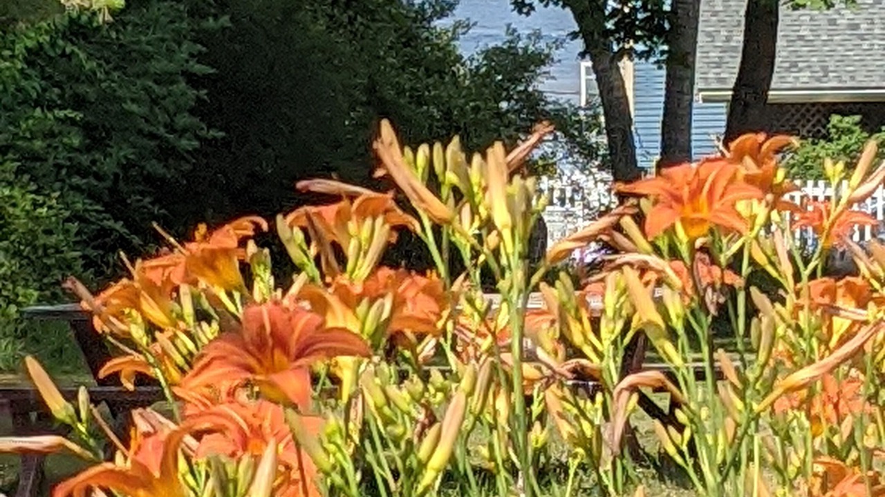 Photo of Outdoor in Peaks Island