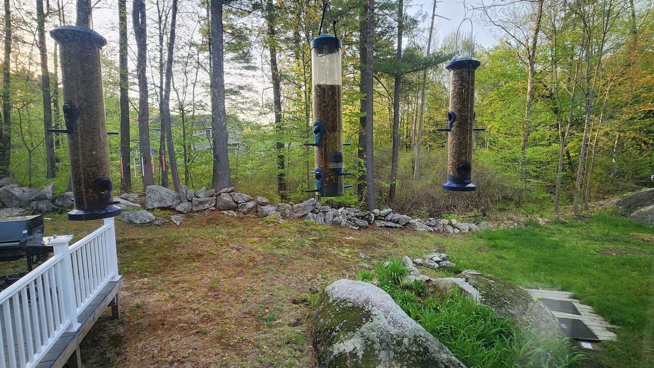 Photo of Outdoor in Weirs Beach