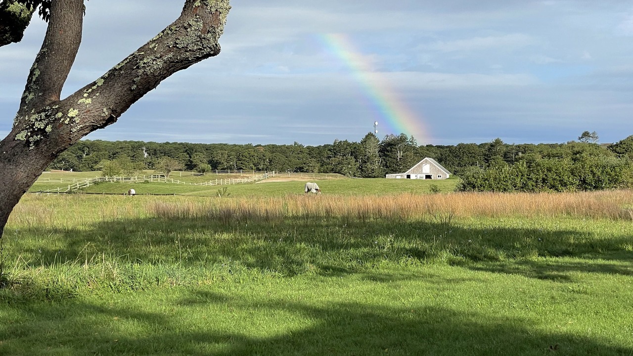 Photo of Others in Edgartown