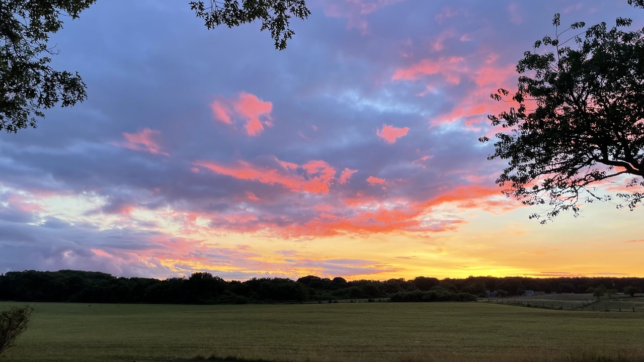 Photo of Outdoor in Edgartown