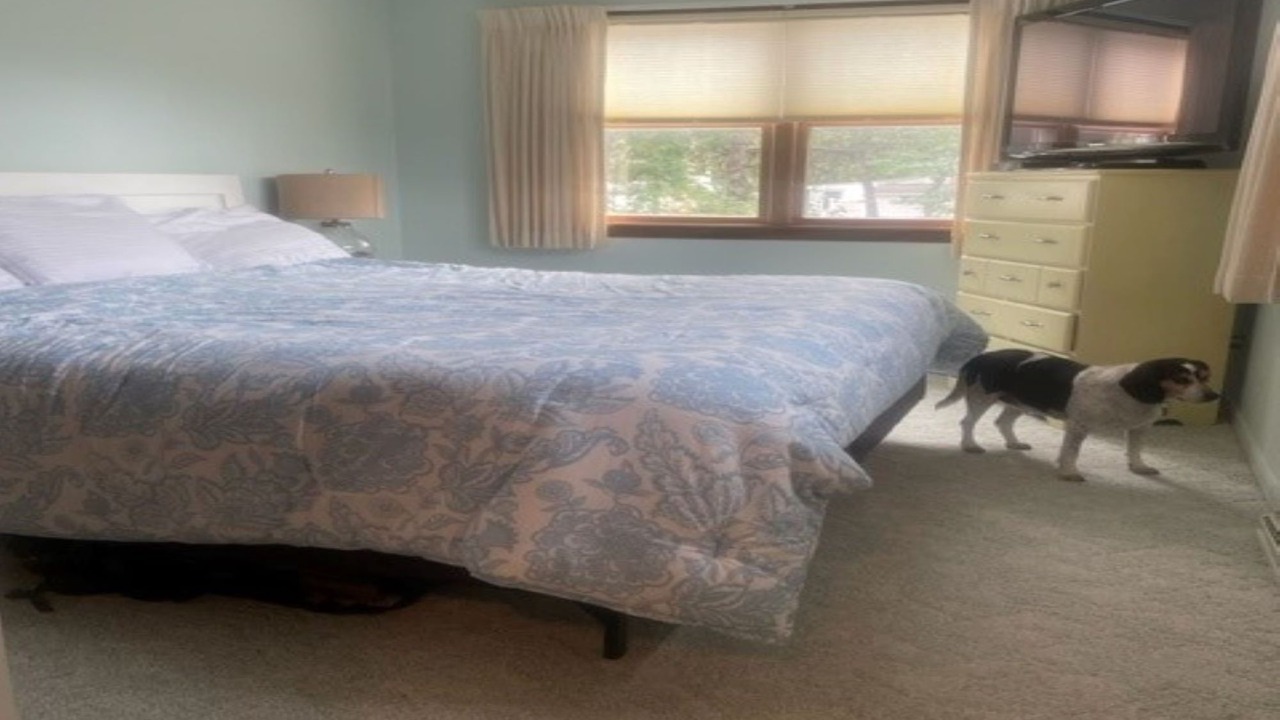 Photo of Bedroom in Camp Ellis
