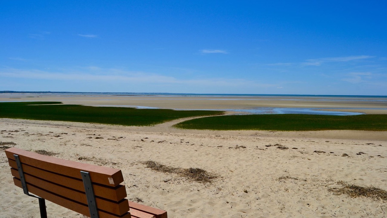 Photo of Others in Eastham