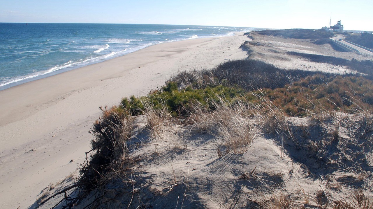 Photo of Others in Eastham