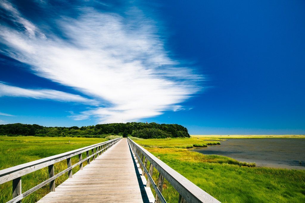 Photo of Others in Eastham