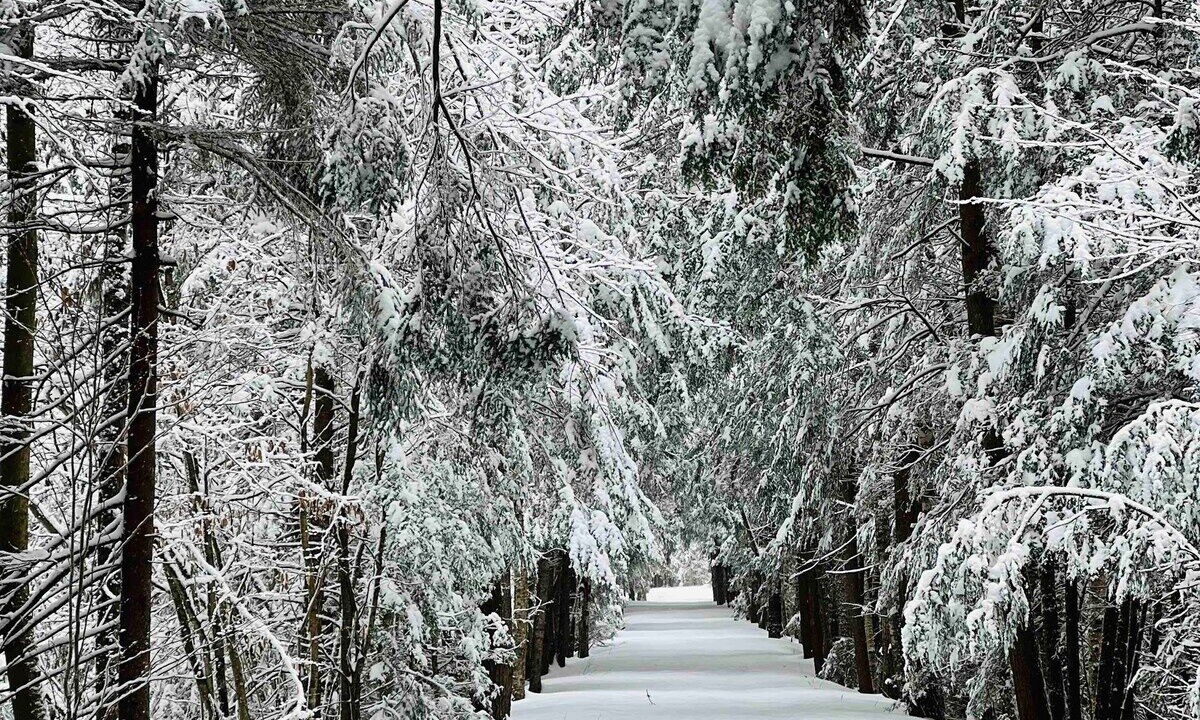 Photo of Others in Tannersville