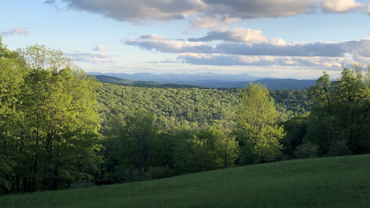Photo of Outdoor in Washington