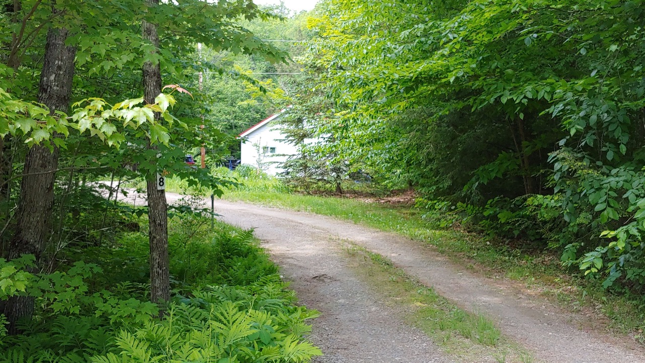Photo of Others in Sandwich