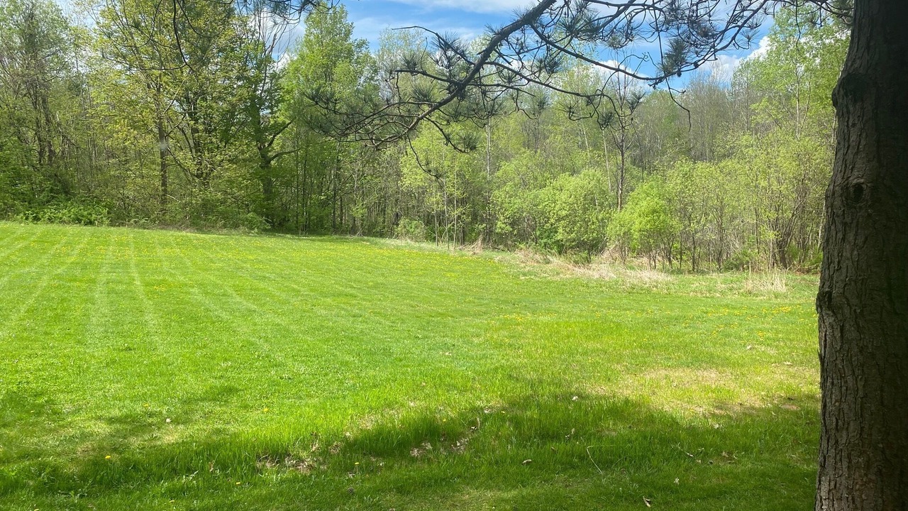 Photo of Outdoor in Hancock