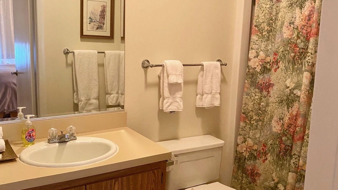 Photo of Bathroom in Hancock