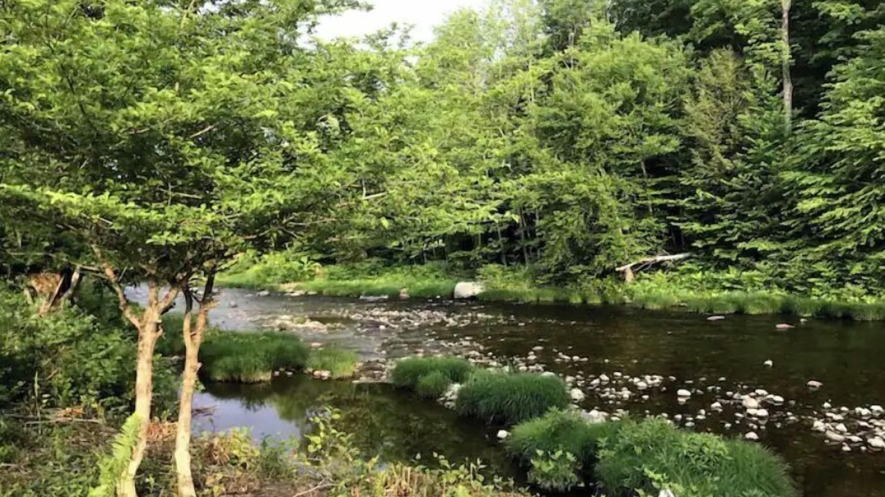 Photo of Outdoor in Cavendish