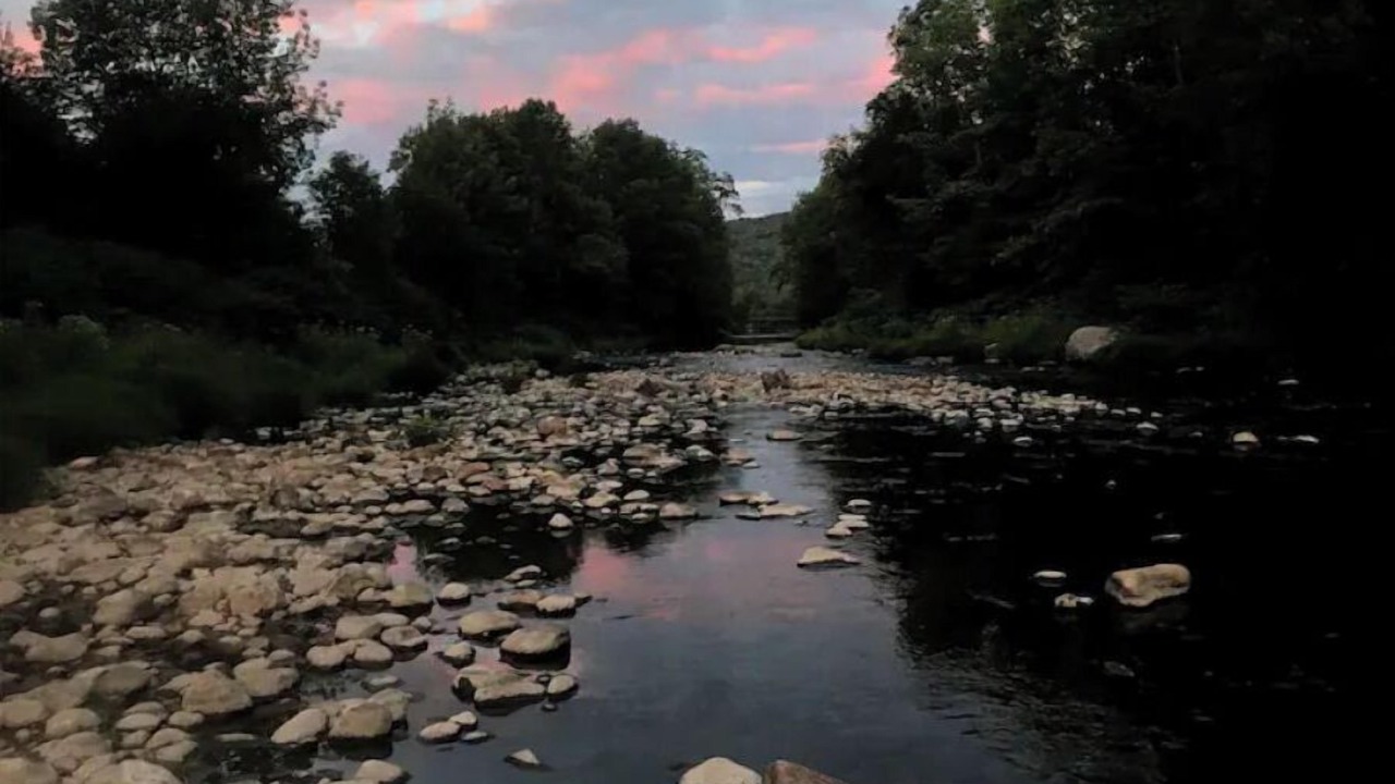 Photo of Others in Cavendish