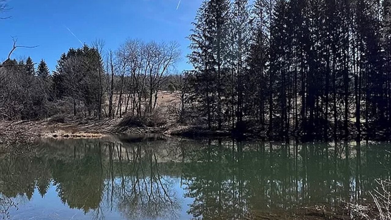 Photo of Others in Cherry Valley