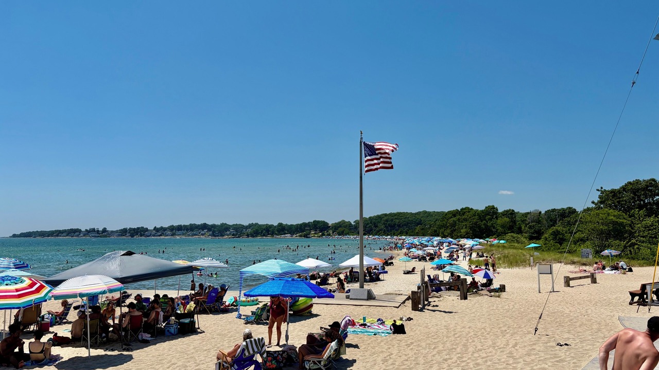 Photo of Others in Niantic