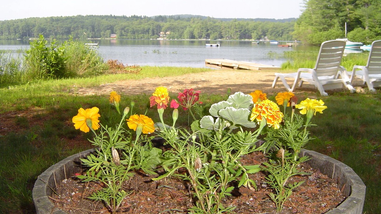 Photo of Outdoor in Moultonborough