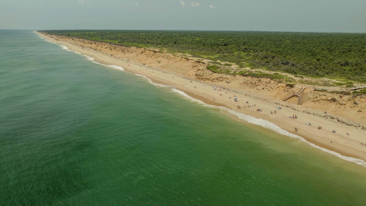 Photo of Others in South Wellfleet