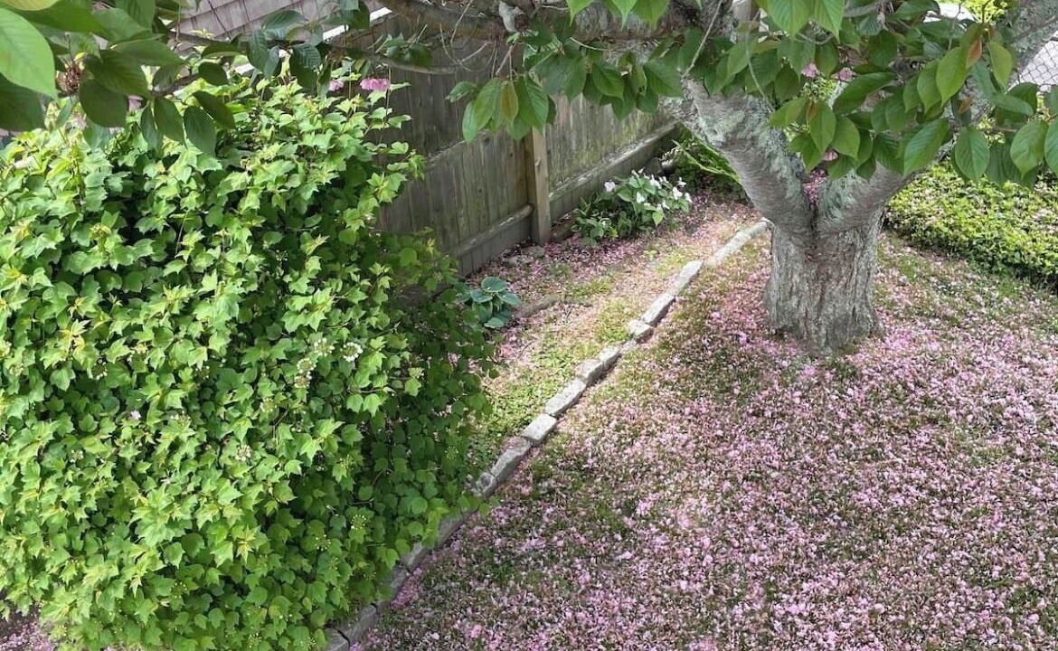 Photo of Outdoor in Fifth Ward