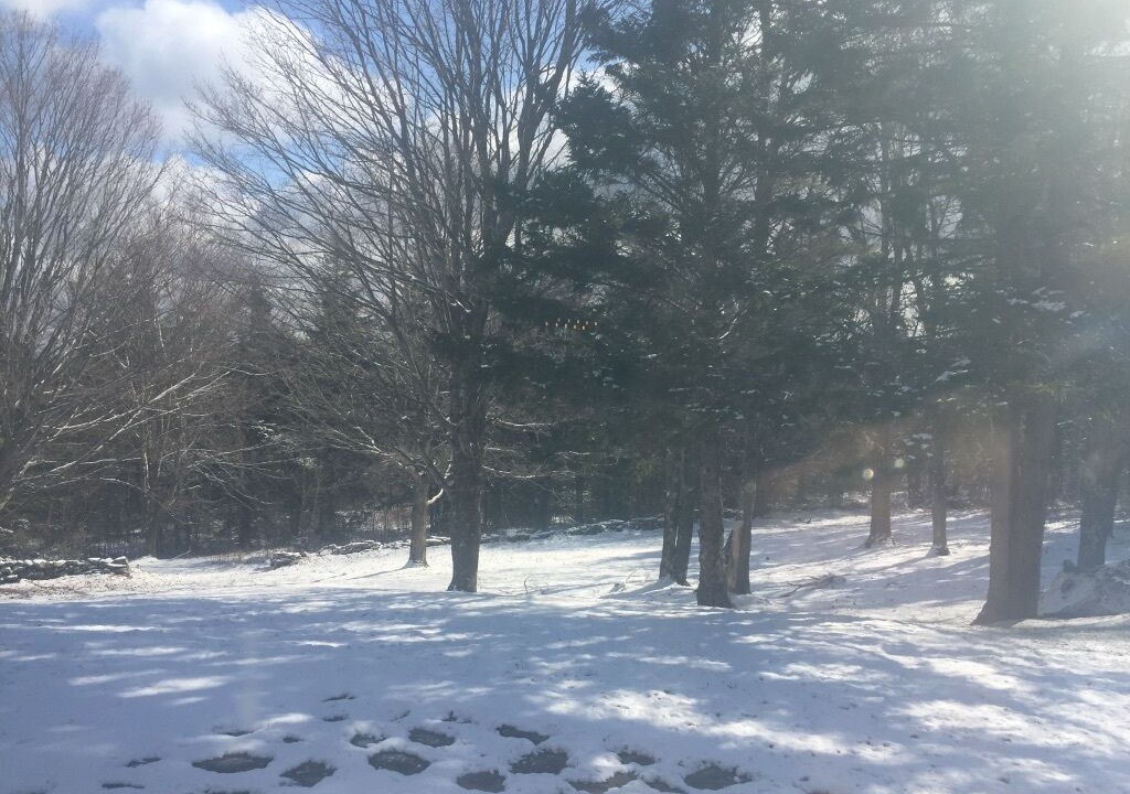 Photo of Outdoor in Whitingham