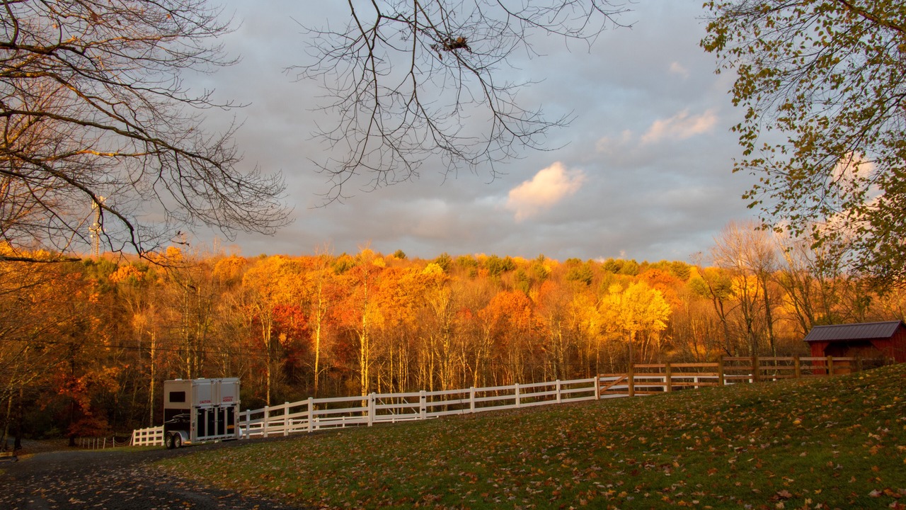 Photo of Outdoor in Davenport