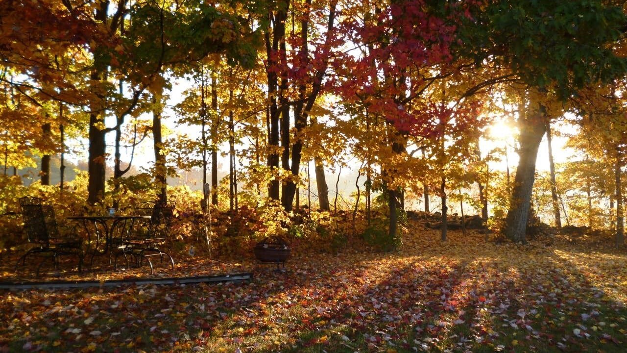 Photo of Outdoor in Davenport