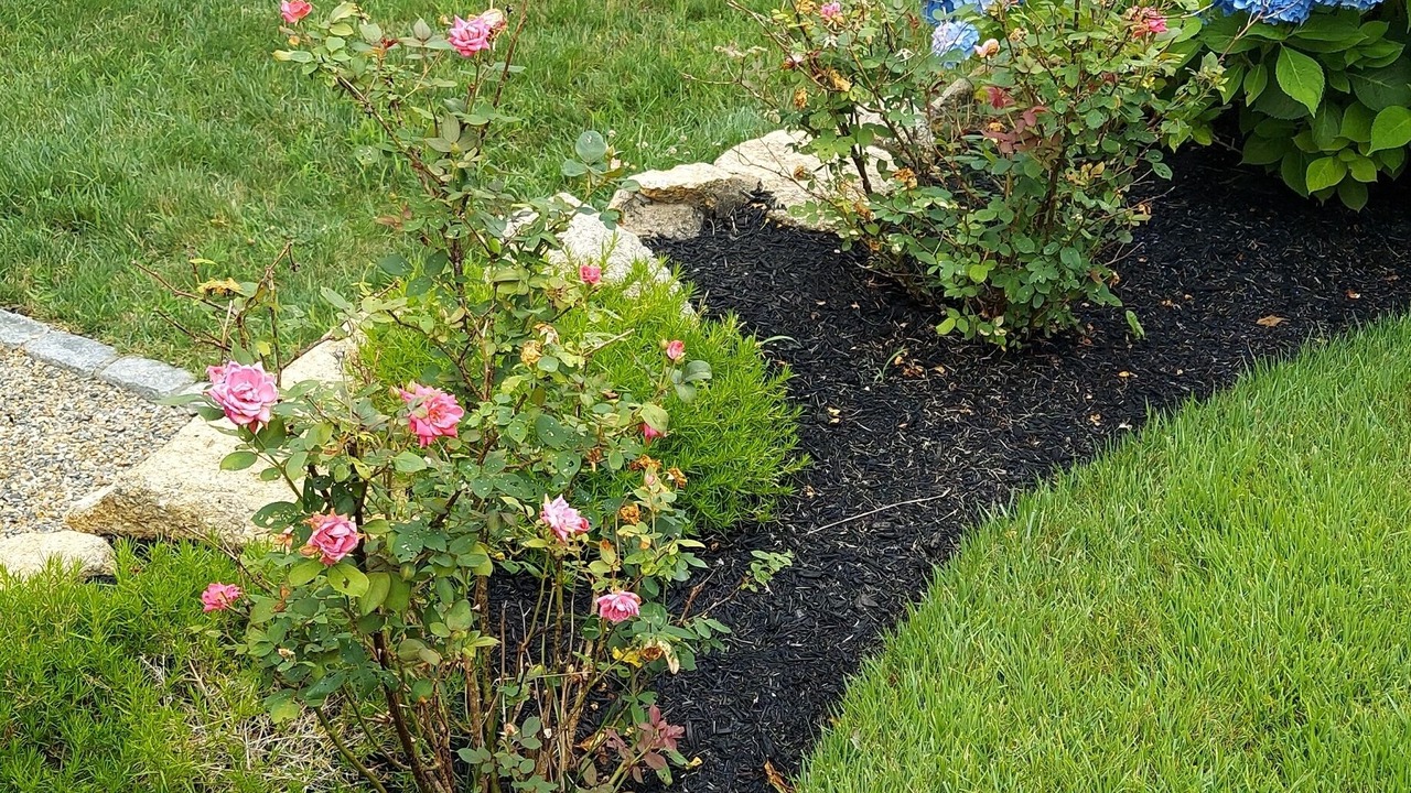 Photo of Outdoor in Edgartown