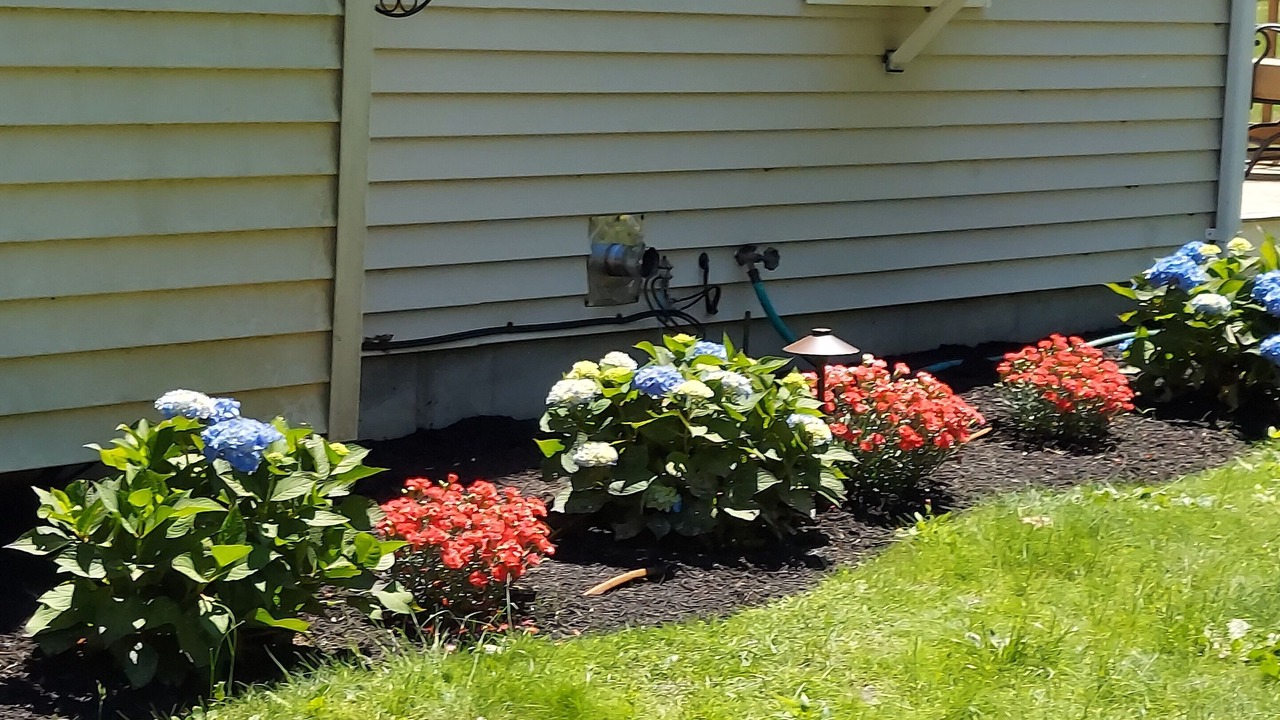 Photo of Outdoor in Edgartown