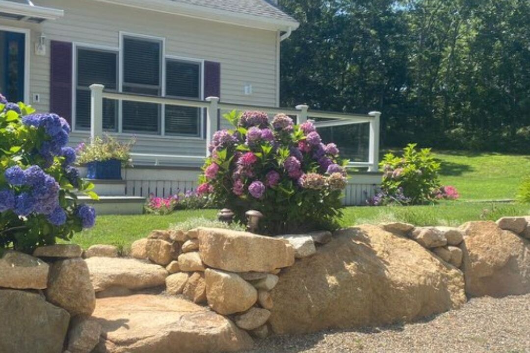 Photo of Outdoor in Edgartown