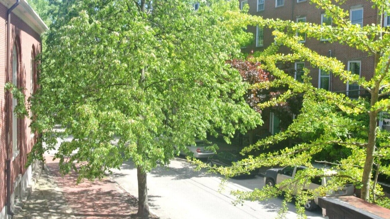 Photo of Outdoor in West End
