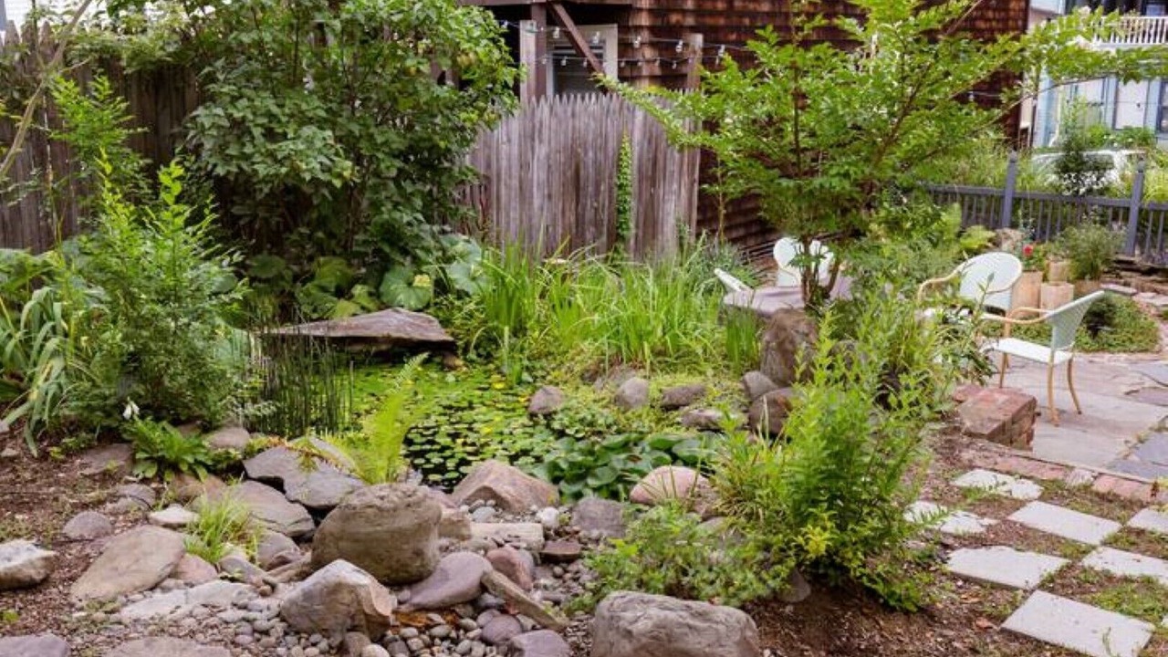 Photo of Outdoor in Kingston