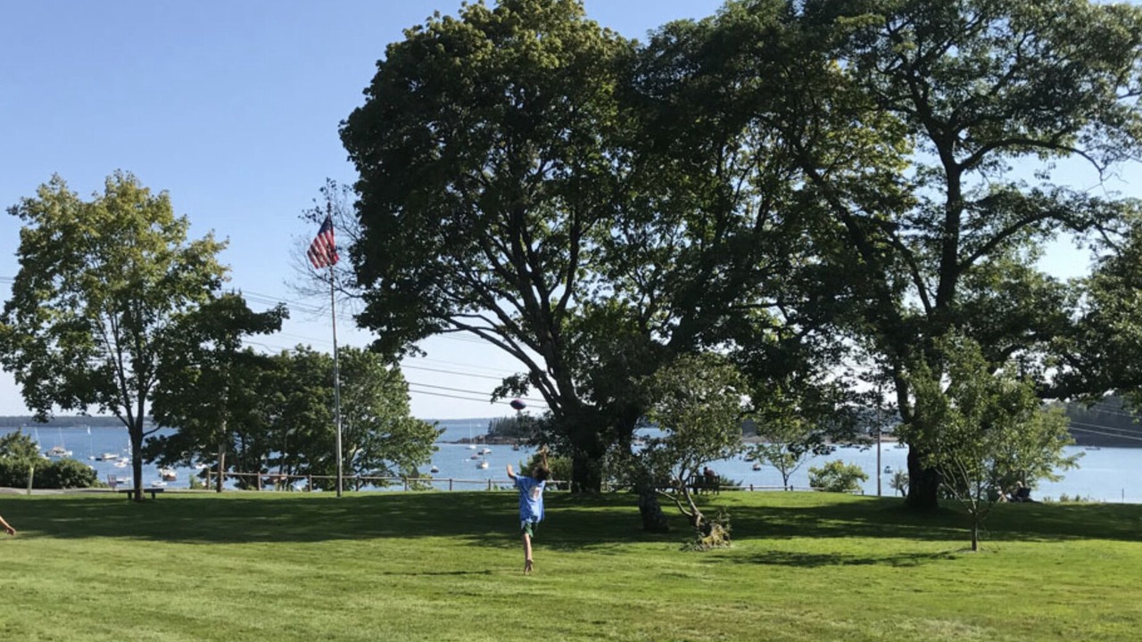 Photo of Others in Seal Harbor