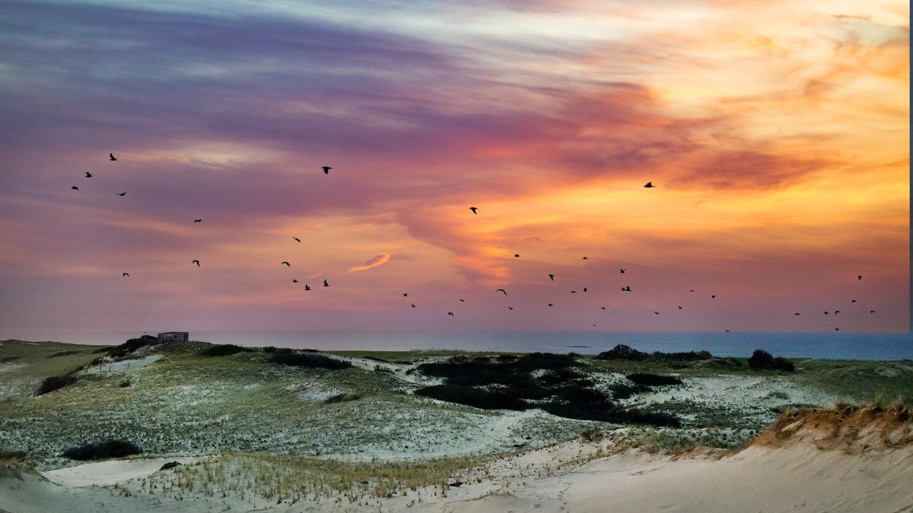 Photo of Others in North Truro