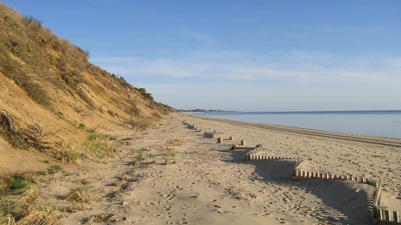Photo of Others in North Truro