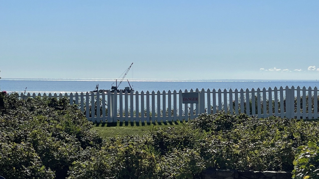 Photo of Others in Mashpee