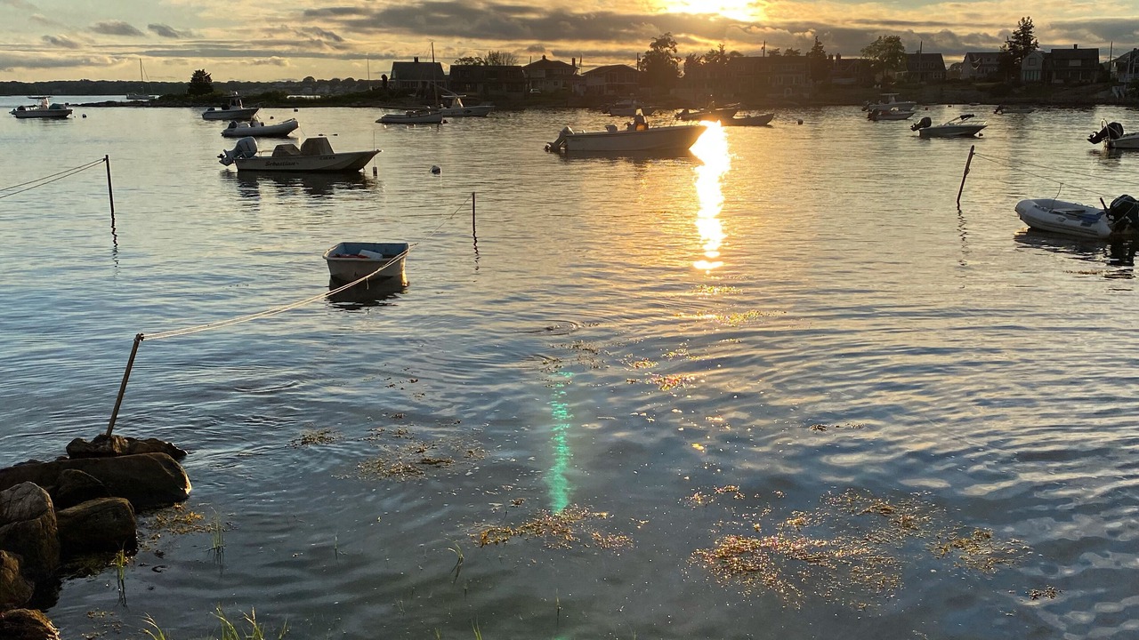 Photo of Others in Lords Point