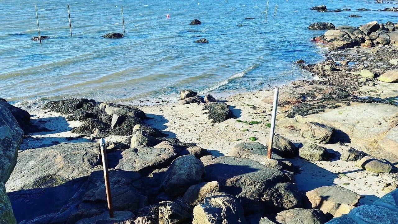 Photo of Others in Lords Point