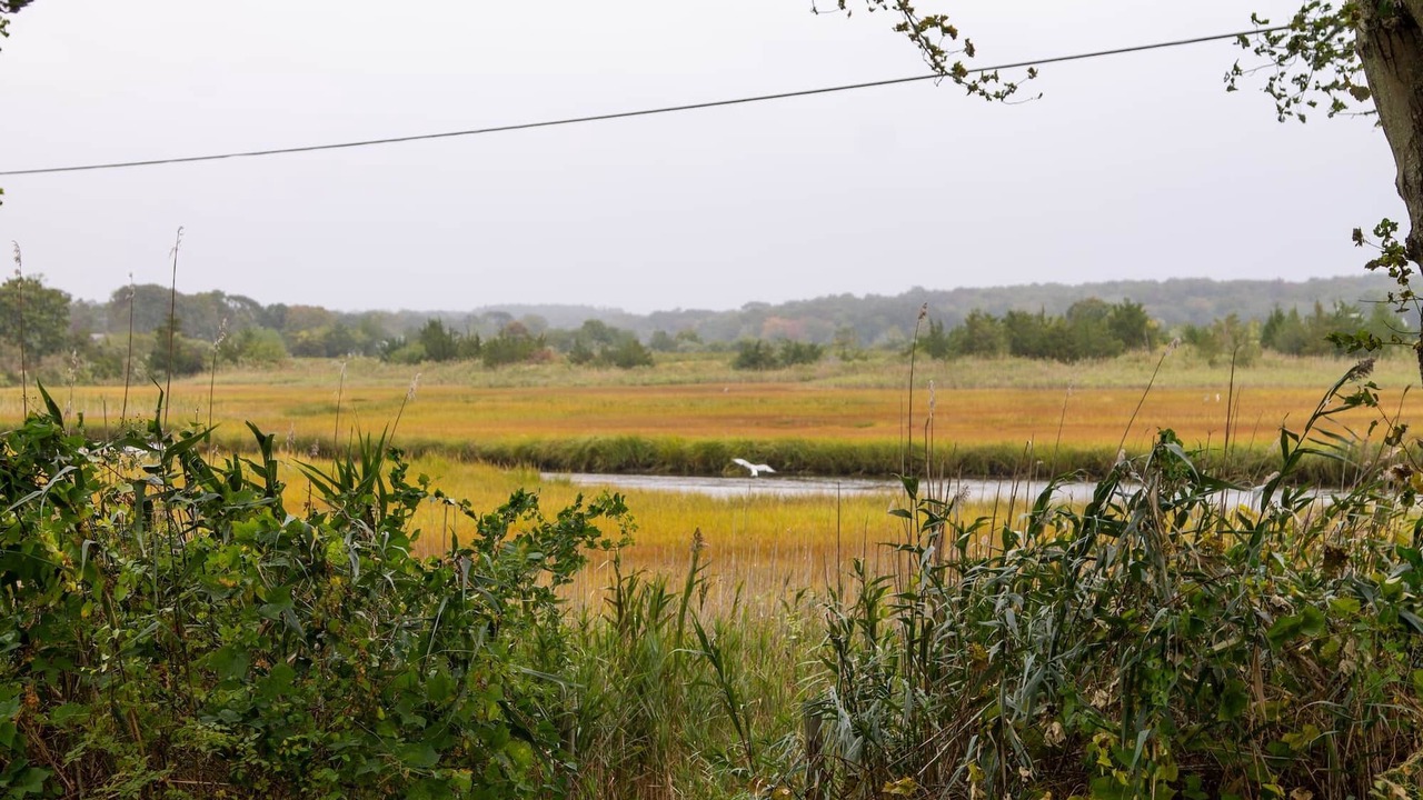 Photo of Others in Stonington