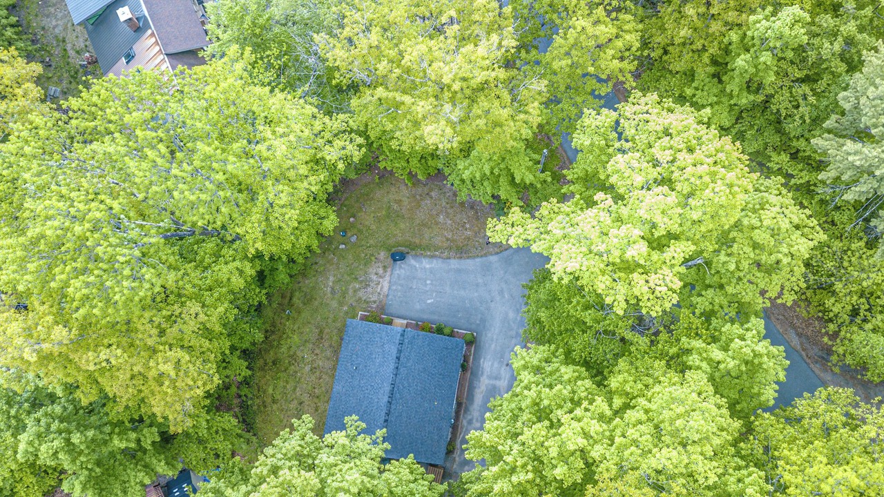 Photo of Outdoor in Intervale