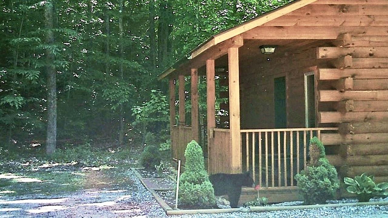 Photo of Others in Intervale