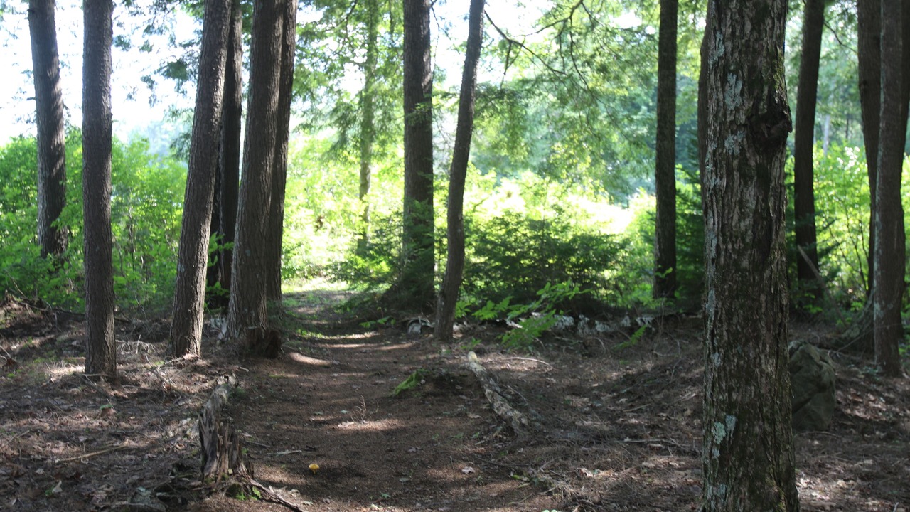 Photo of Others in Fitzwilliam