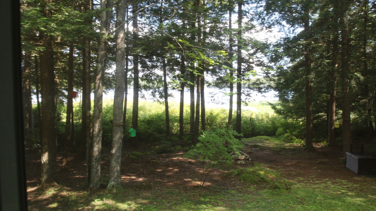 Photo of Outdoor in Fitzwilliam