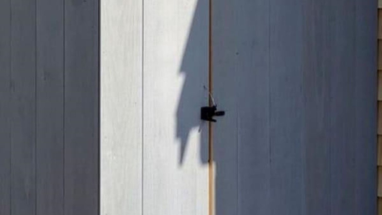 Photo of Others in South Yarmouth