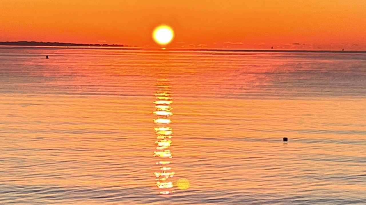 Photo of Others in Niantic