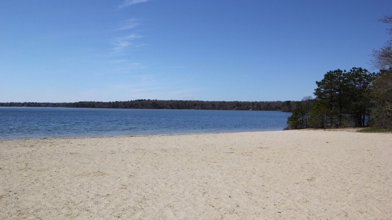 Photo of Others in Mashpee