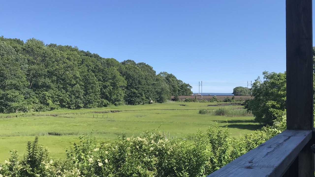 Photo of Outdoor in Niantic
