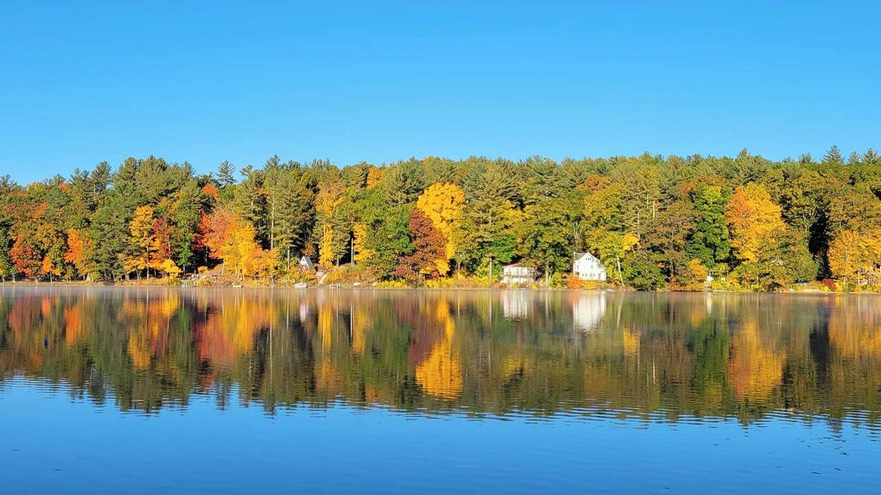 Photo of Outdoor in Hollis