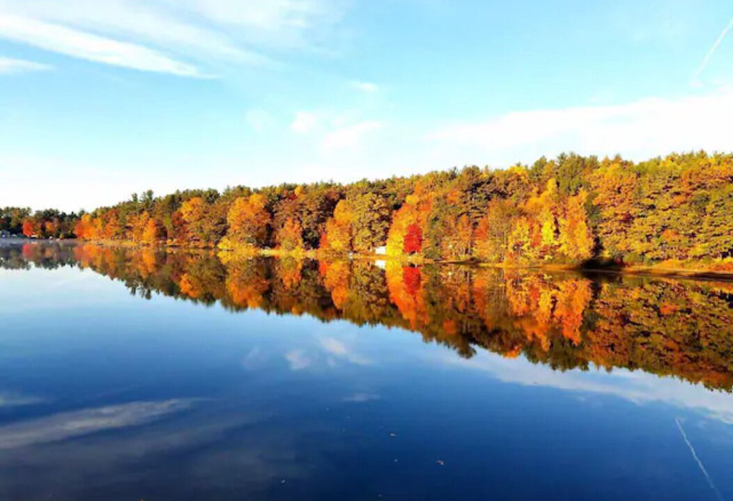 Photo of Outdoor in Hollis
