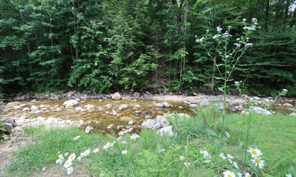 Photo of Others in Waterville Valley
